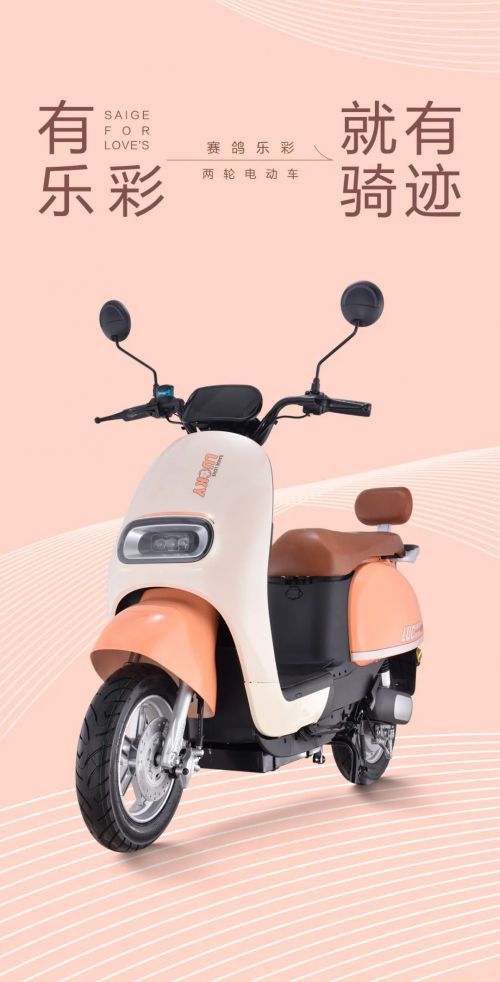 电动车市场十大品牌盘点 高性价比之选——赛鸽电动车