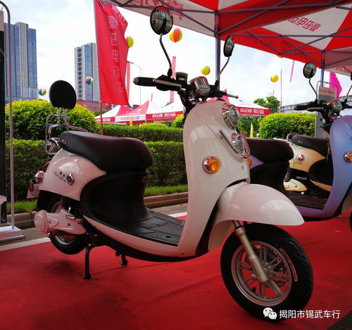 2018豪进电动车珍藏版日历 时光中的绿色出行印记