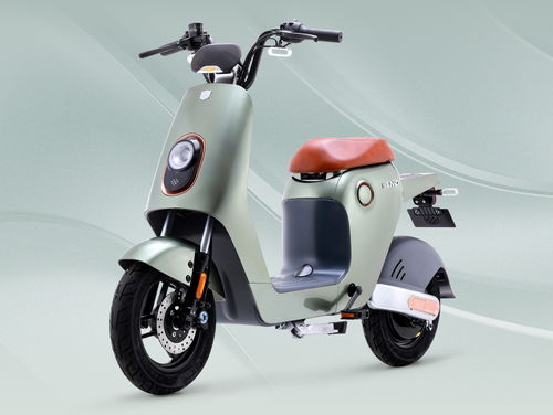 杭州出行新风尚 选择绿源电动车，让您的每一次出行都与众不同