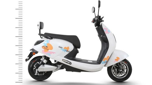 电动车行业权威资讯 洞察趋势，把握未来